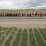 Trump says he is looking at new steps on farm labor